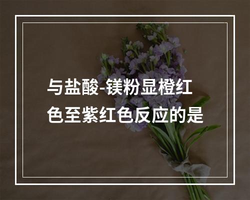 与盐酸-镁粉显橙红色至紫红色反应的是