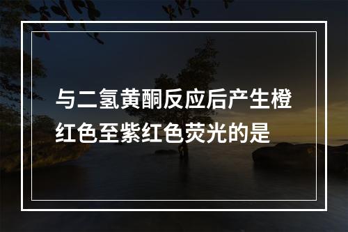 与二氢黄酮反应后产生橙红色至紫红色荧光的是