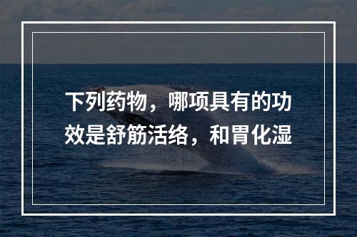 下列药物，哪项具有的功效是舒筋活络，和胃化湿