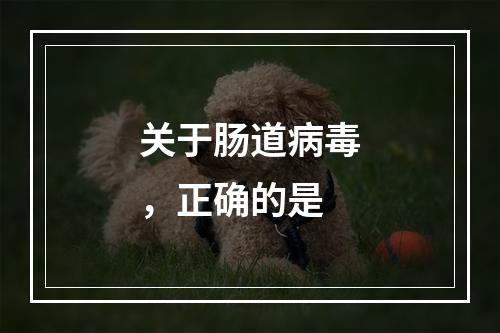 关于肠道病毒，正确的是