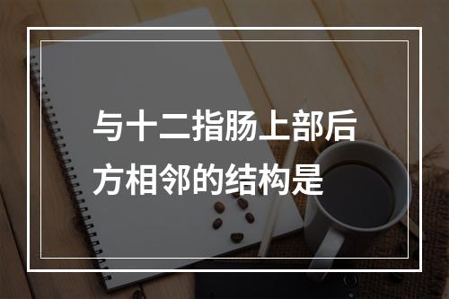 与十二指肠上部后方相邻的结构是