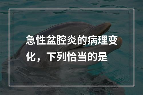 急性盆腔炎的病理变化，下列恰当的是