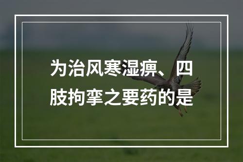 为治风寒湿痹、四肢拘挛之要药的是