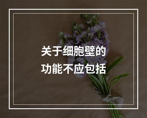 关于细胞壁的功能不应包括