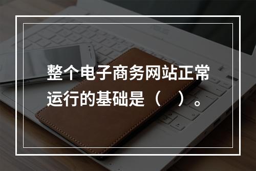 整个电子商务网站正常运行的基础是（　）。