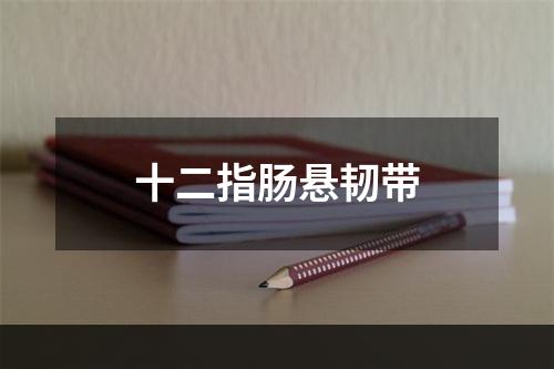 十二指肠悬韧带