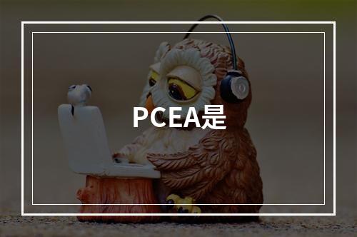 PCEA是