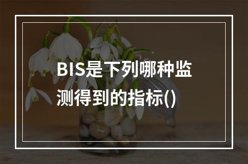 BIS是下列哪种监测得到的指标()