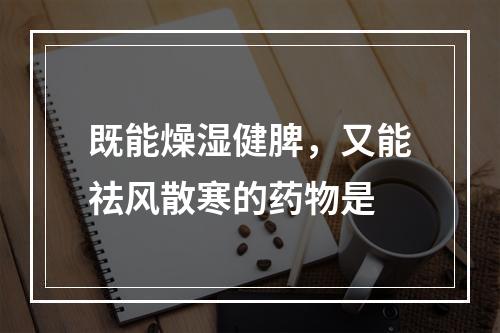 既能燥湿健脾，又能祛风散寒的药物是