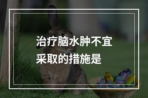 治疗脑水肿不宜采取的措施是