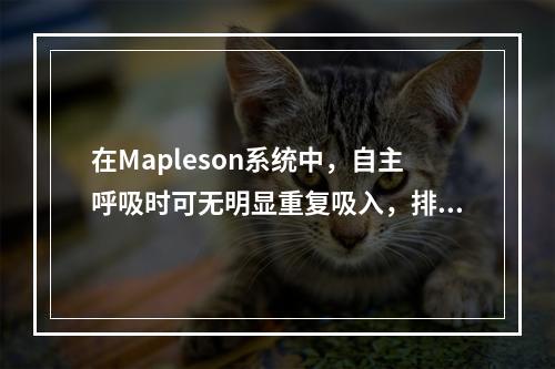 在Mapleson系统中，自主呼吸时可无明显重复吸入，排除二