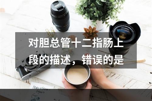 对胆总管十二指肠上段的描述，错误的是