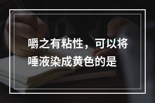 嚼之有粘性，可以将唾液染成黄色的是