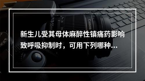 新生儿受其母体麻醉性镇痛药影响致呼吸抑制时，可用下列哪种药物