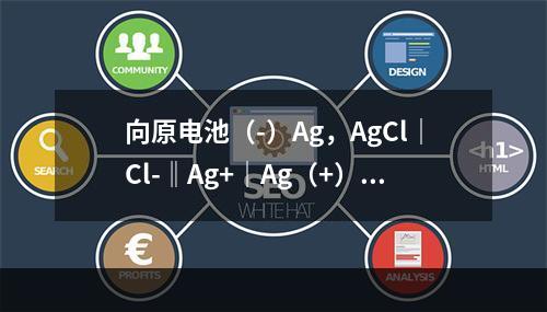 向原电池（-）Ag，AgCl｜Cl-‖Ag+｜Ag（+）的