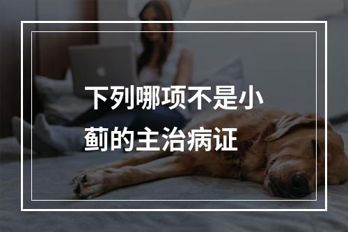 下列哪项不是小蓟的主治病证