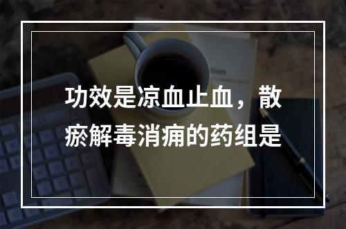 功效是凉血止血，散瘀解毒消痈的药组是