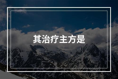 其治疗主方是