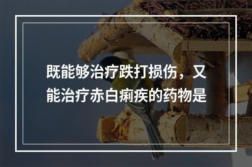 既能够治疗跌打损伤，又能治疗赤白痢疾的药物是