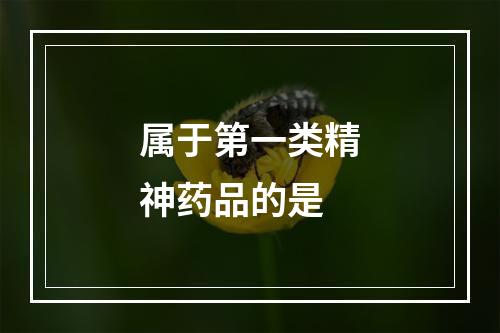 属于第一类精神药品的是