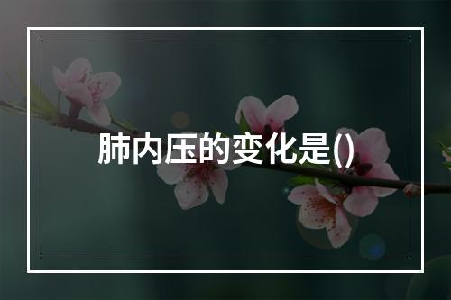 肺内压的变化是()