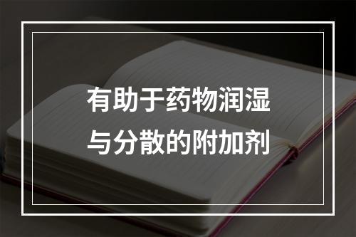 有助于药物润湿与分散的附加剂