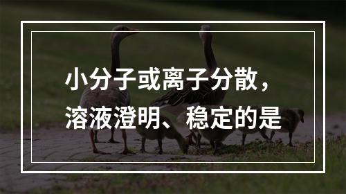 小分子或离子分散，溶液澄明、稳定的是