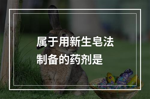 属于用新生皂法制备的药剂是