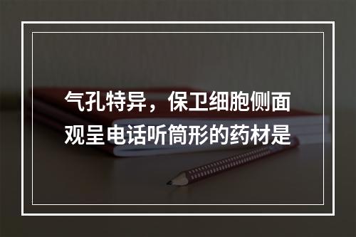 气孔特异，保卫细胞侧面观呈电话听筒形的药材是