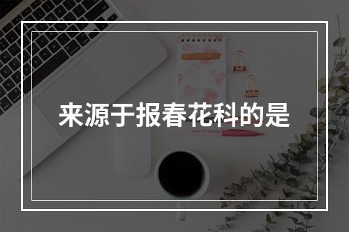 来源于报春花科的是