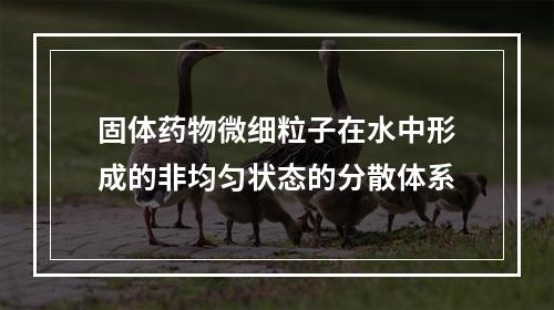 固体药物微细粒子在水中形成的非均匀状态的分散体系