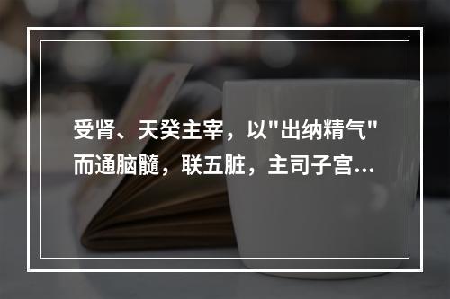 受肾、天癸主宰，以