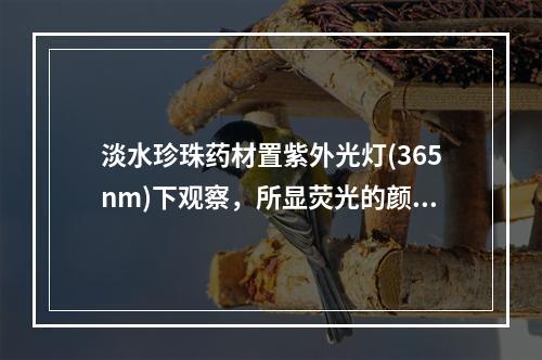 淡水珍珠药材置紫外光灯(365nm)下观察，所显荧光的颜色是