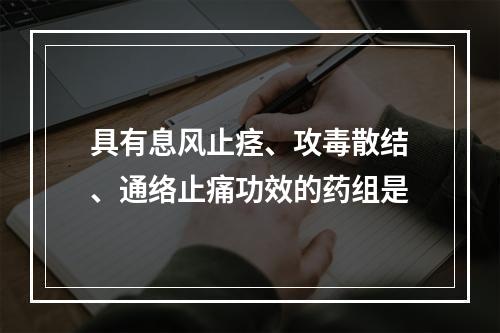 具有息风止痉、攻毒散结、通络止痛功效的药组是