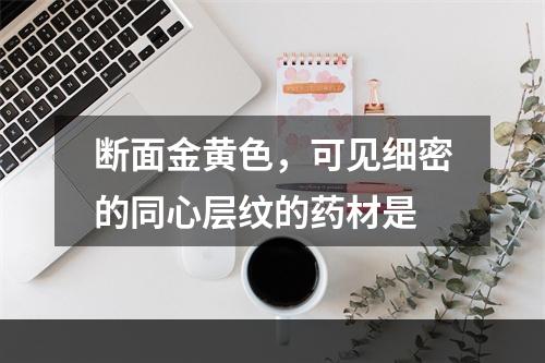 断面金黄色，可见细密的同心层纹的药材是