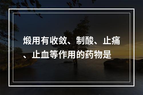 煅用有收敛、制酸、止痛、止血等作用的药物是