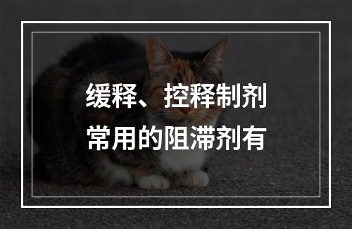 缓释、控释制剂常用的阻滞剂有