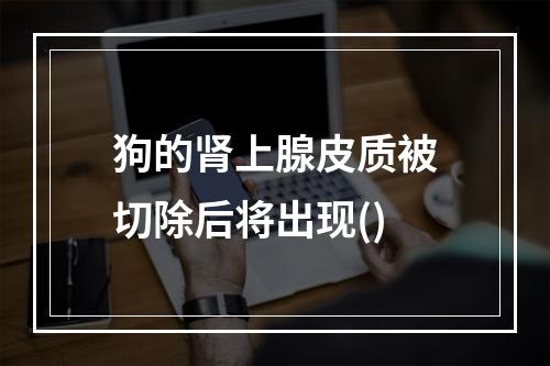 狗的肾上腺皮质被切除后将出现()