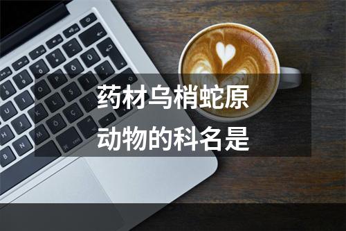 药材乌梢蛇原动物的科名是