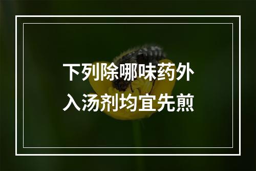 下列除哪味药外入汤剂均宜先煎