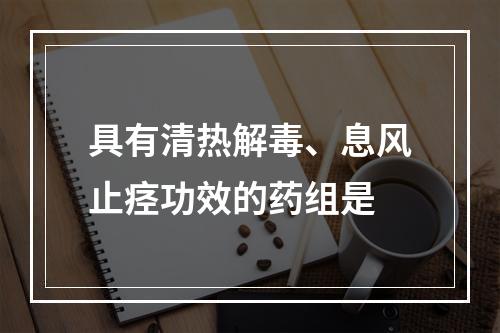 具有清热解毒、息风止痉功效的药组是