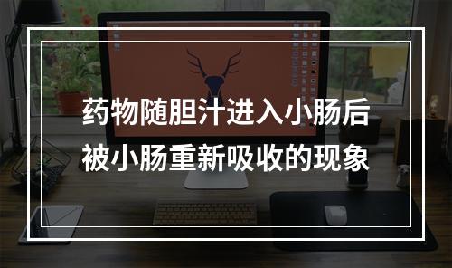 药物随胆汁进入小肠后被小肠重新吸收的现象