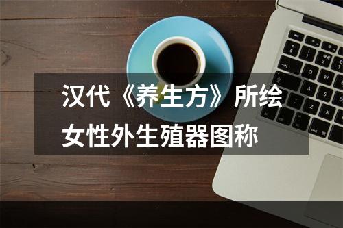 汉代《养生方》所绘女性外生殖器图称