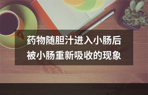 药物随胆汁进入小肠后被小肠重新吸收的现象