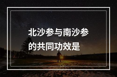 北沙参与南沙参的共同功效是