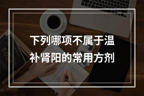 下列哪项不属于温补肾阳的常用方剂