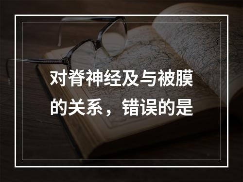 对脊神经及与被膜的关系，错误的是