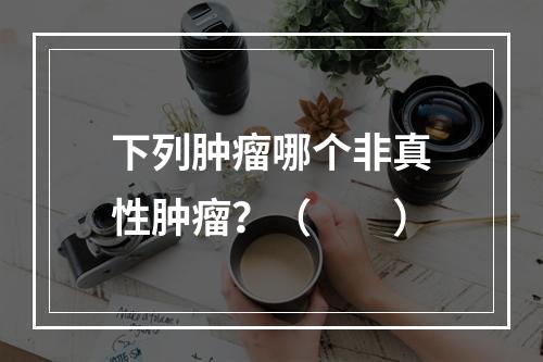 下列肿瘤哪个非真性肿瘤？（　　）