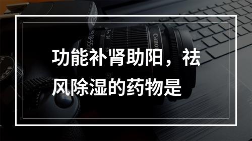 功能补肾助阳，祛风除湿的药物是