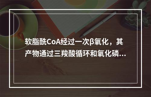 软脂酰CoA经过一次β氧化，其产物通过三羧酸循环和氧化磷酸化